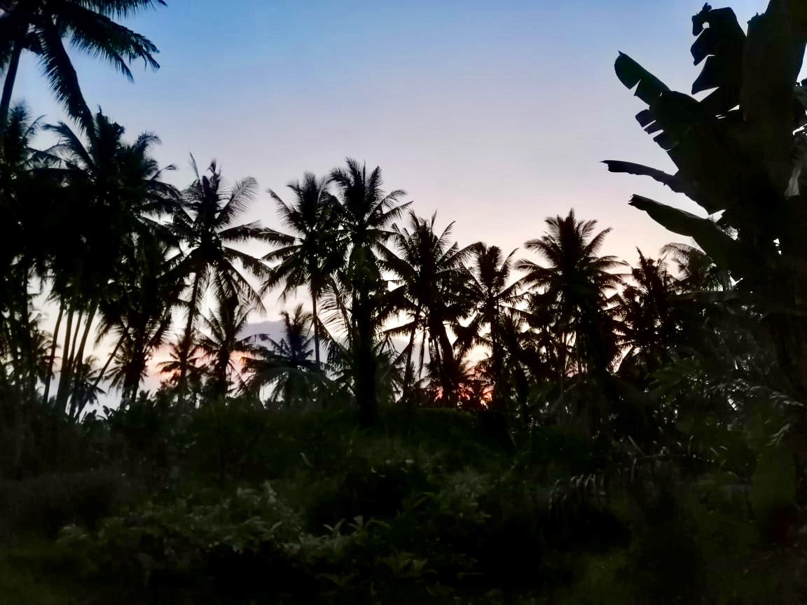 b77adf27-5204-4335-a6a8-c9c91902653c