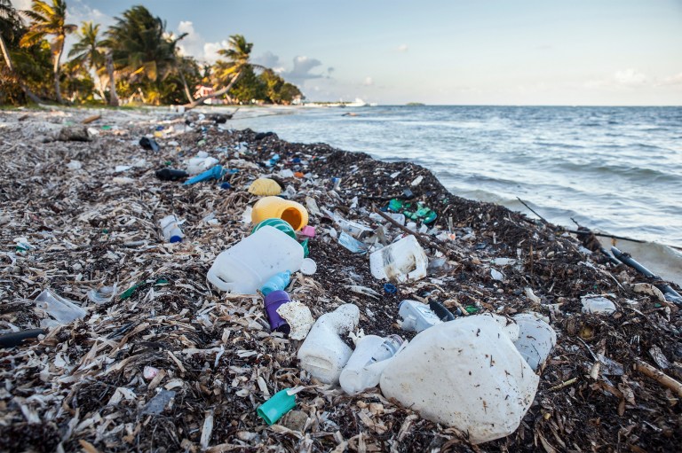 Plastic Waste washed up at shore, Turneffe Atoll, Caribbean, Belize