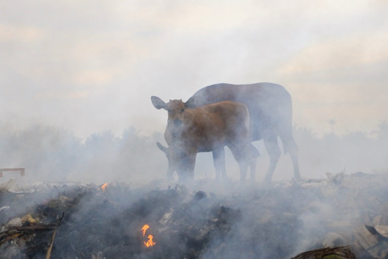 Copy of Copy of 3N2A9824